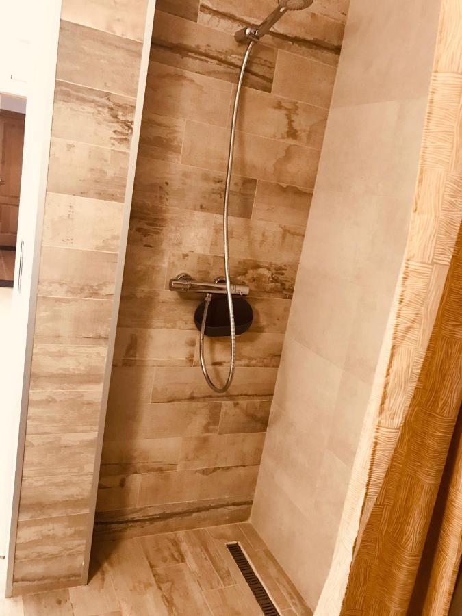 Vila Nona Apartment Sibiu Ngoại thất bức ảnh