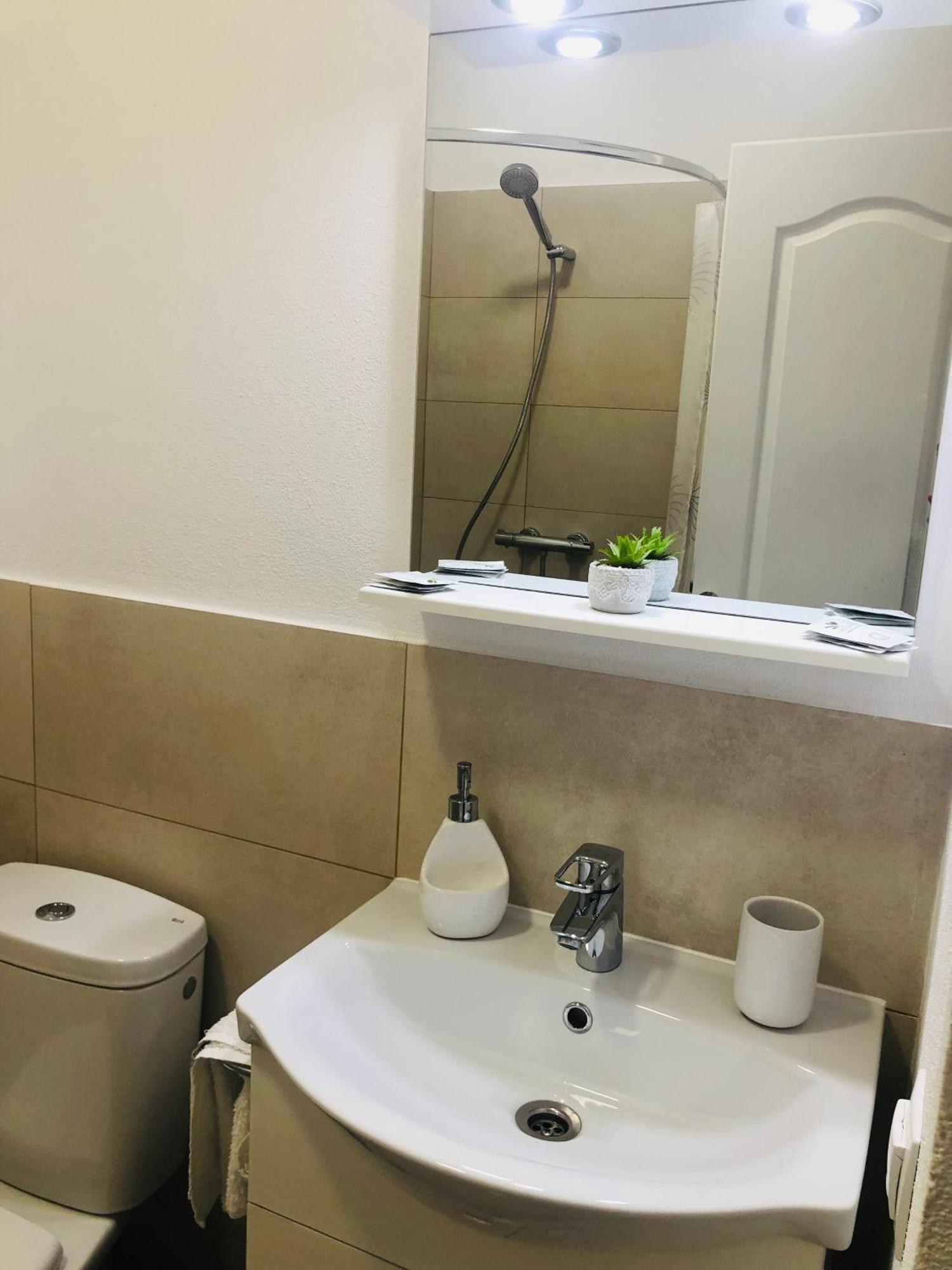 Vila Nona Apartment Sibiu Ngoại thất bức ảnh